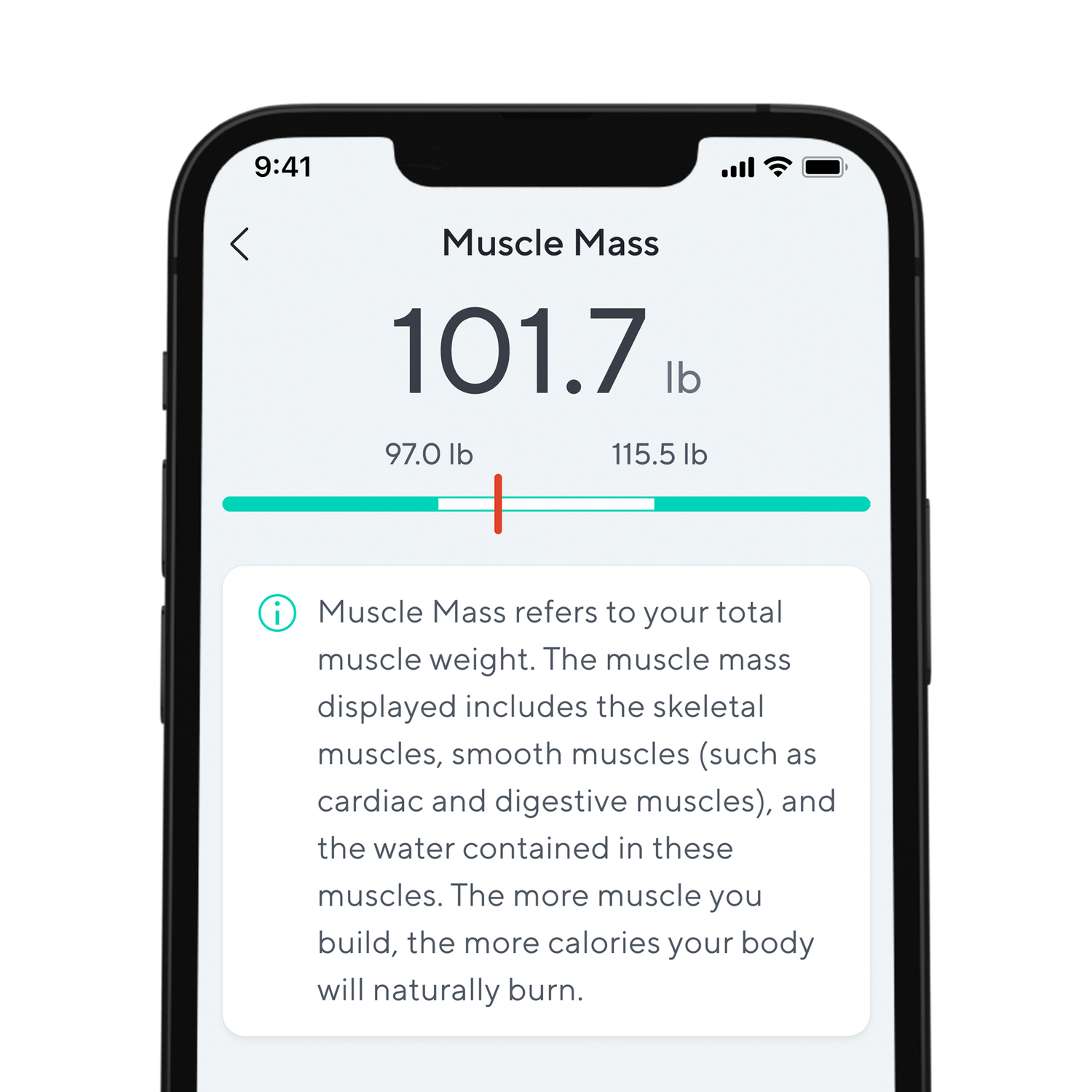 Phone showing muscle mass page in wyze app