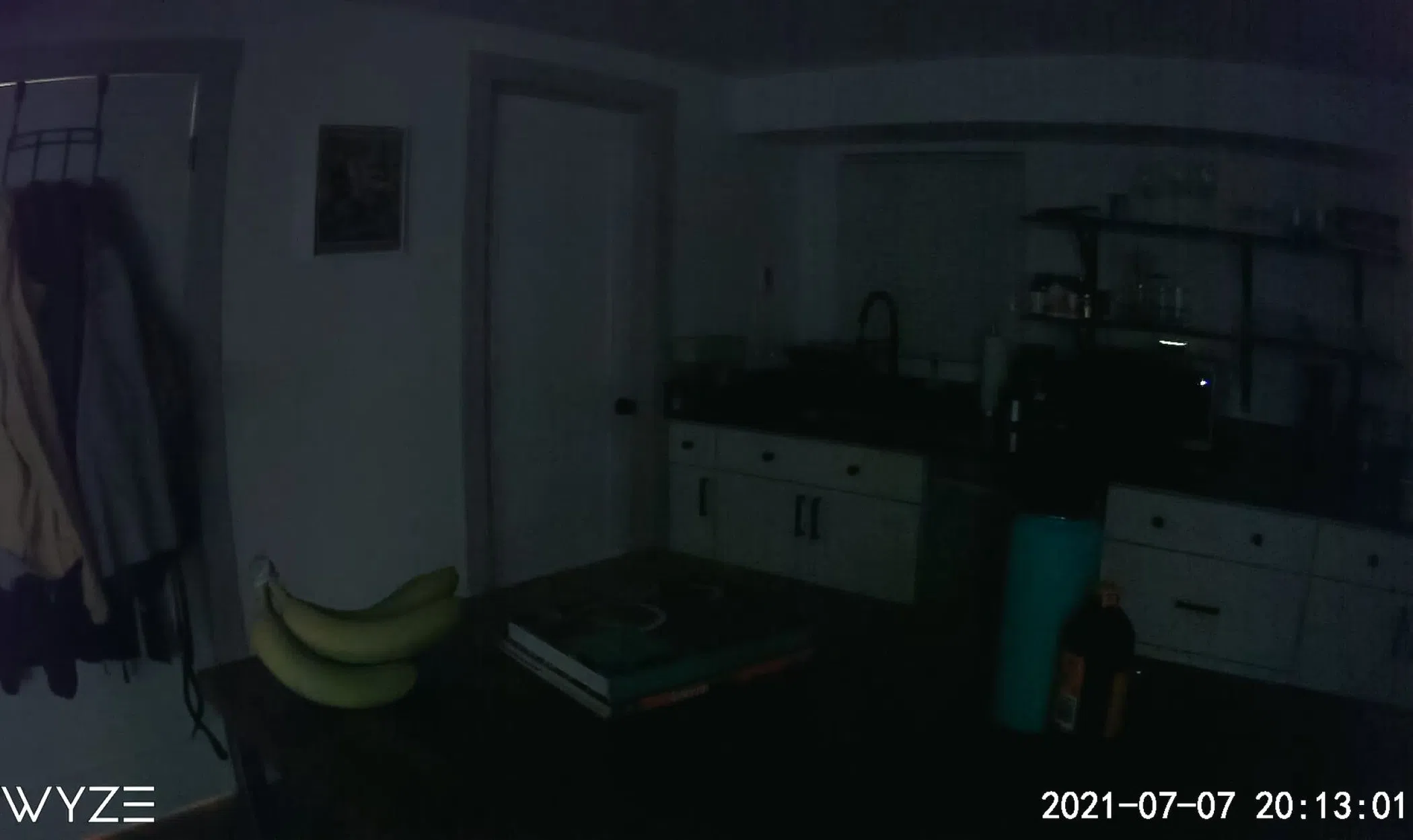 Cam Pan in low light