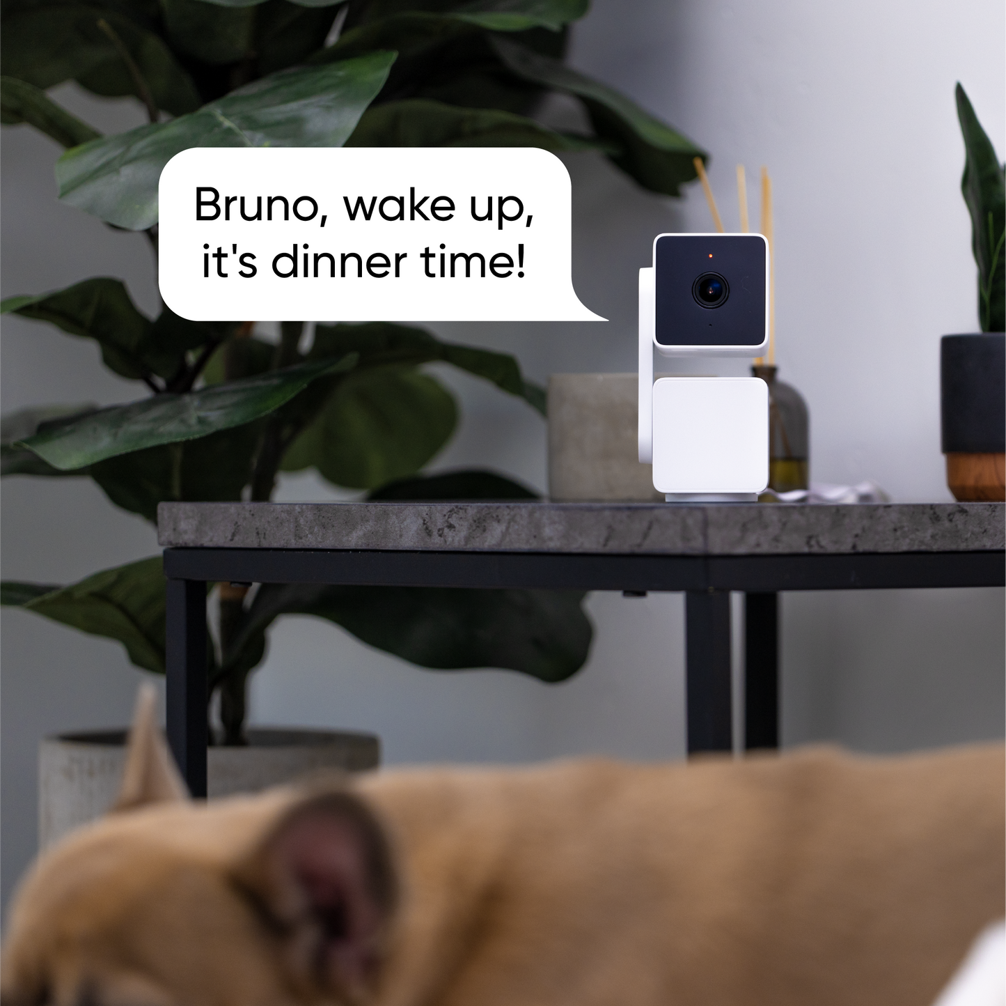 Wyze Video Doorbell v2 lifestyle image