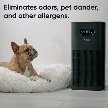 Dog lounging on a dog bed next to the Wyze Air Purifier. Black text overlay that says eliminates odors, pet dander, and other allergens.