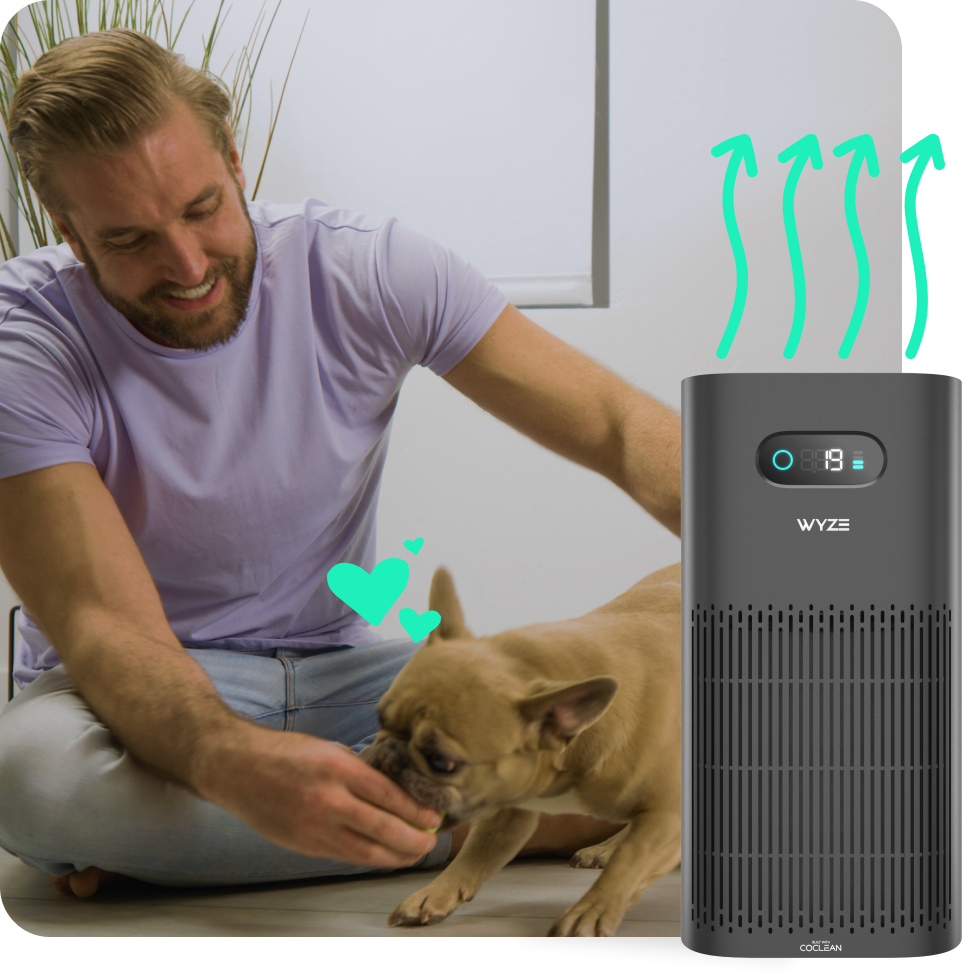 Person playing with dog inside home with Air Purifier running 