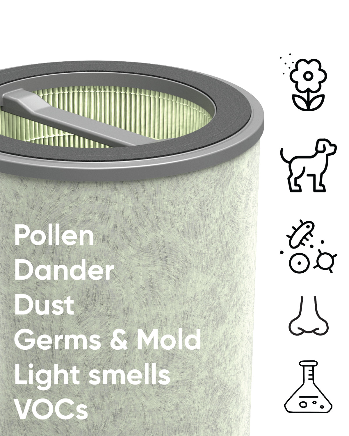 Allergen filter pollutants