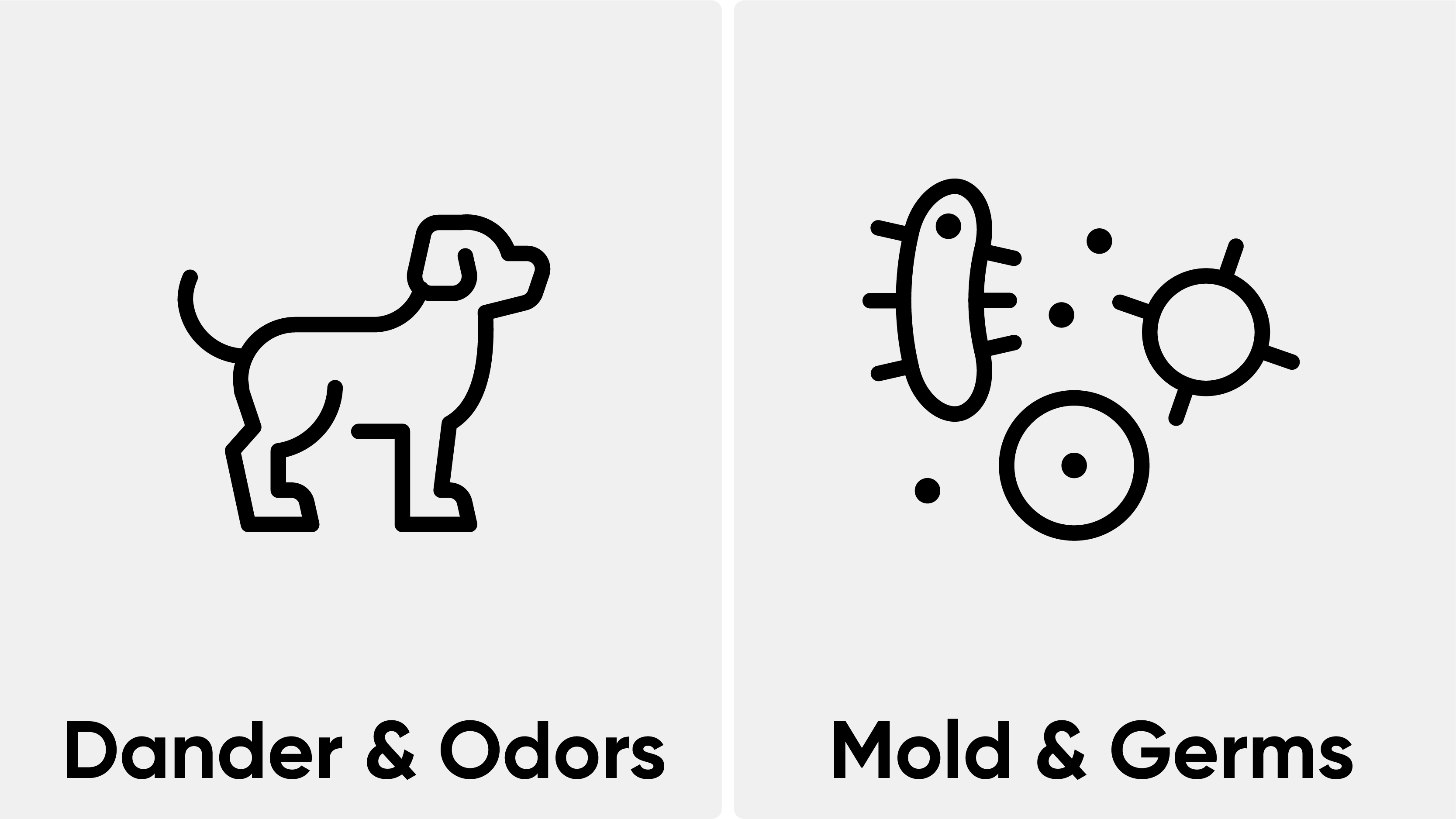 Wyze Air Purifier A Luxury Air Purifier Without the Luxury Price