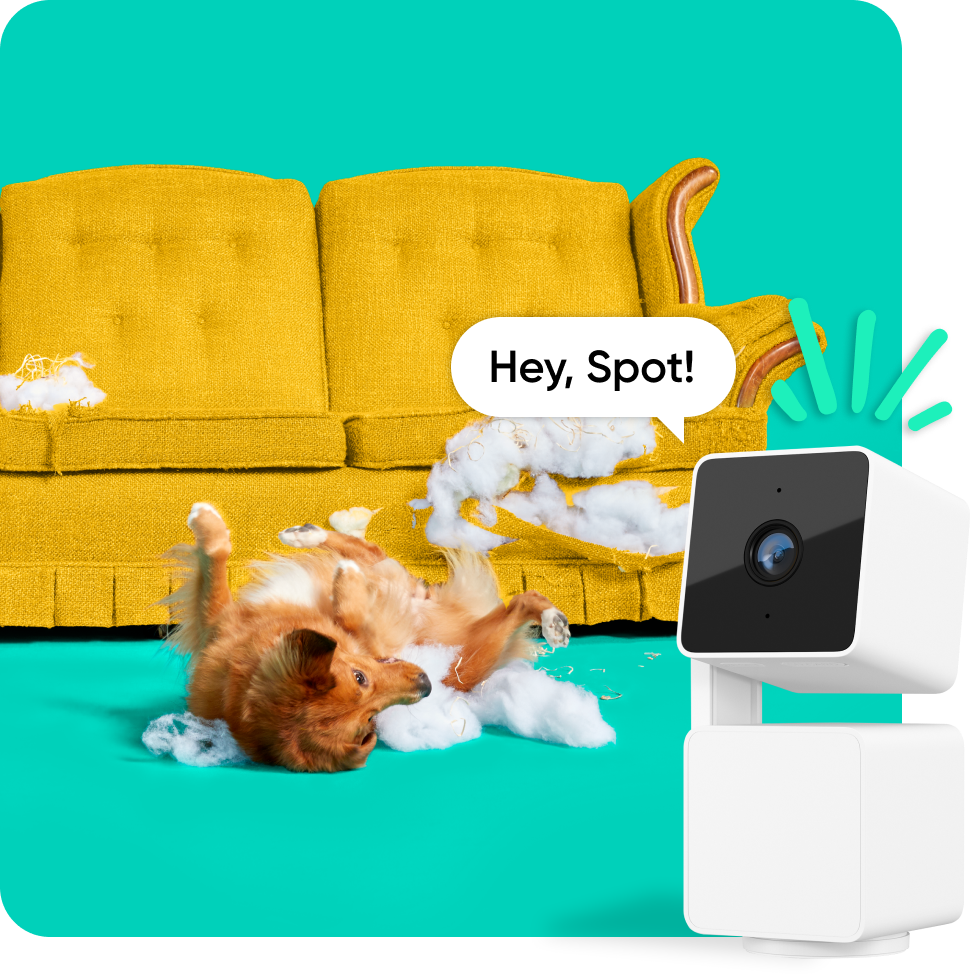 Pet Cameras Wyze Labs Inc