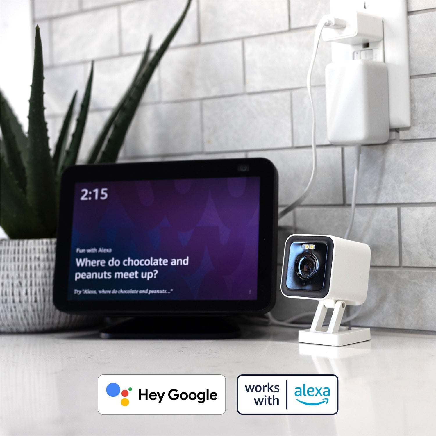compatible with Alexa and Google home assistants