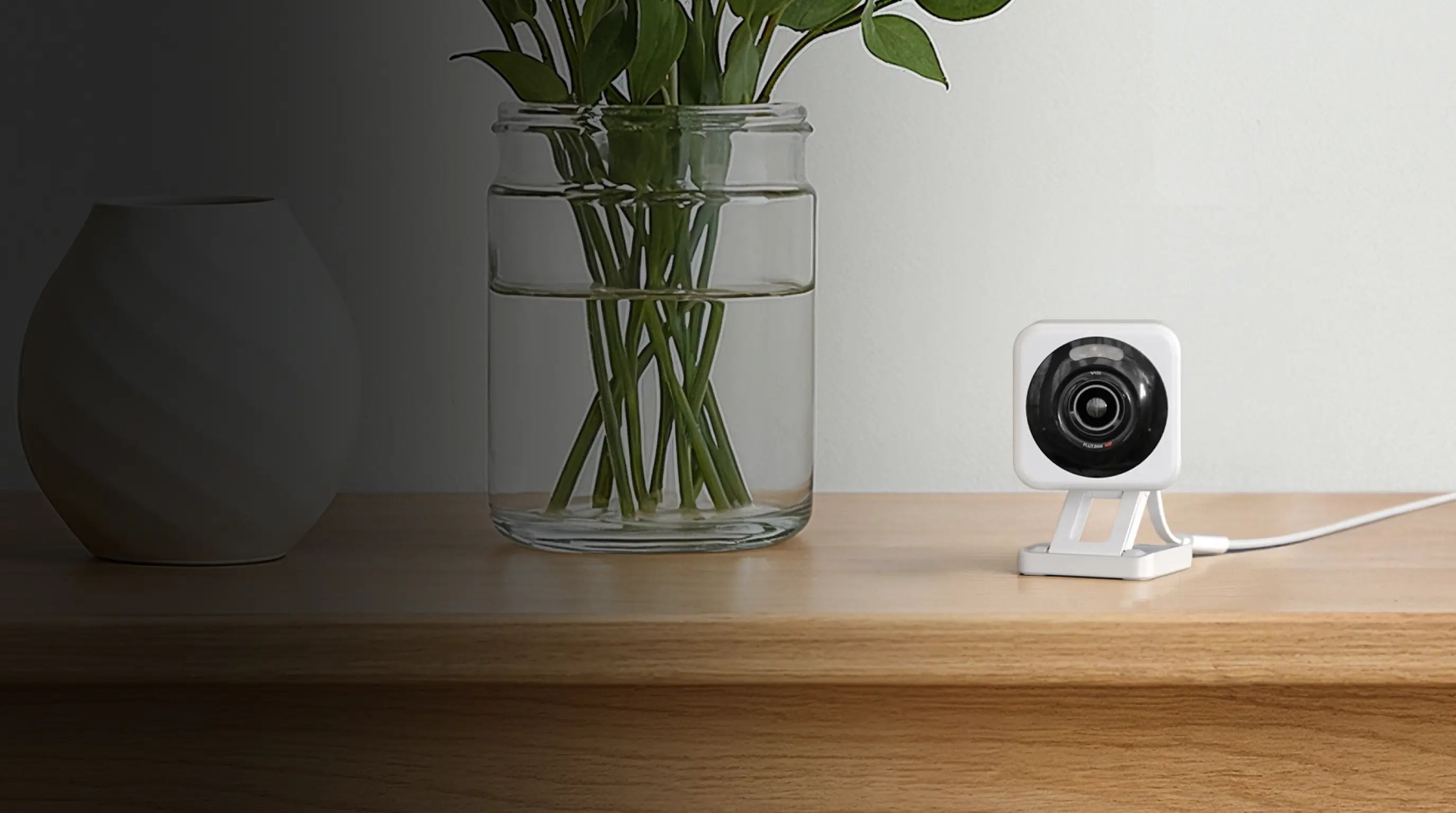 Small white camera on a wooden surface with a vase and plant in the background