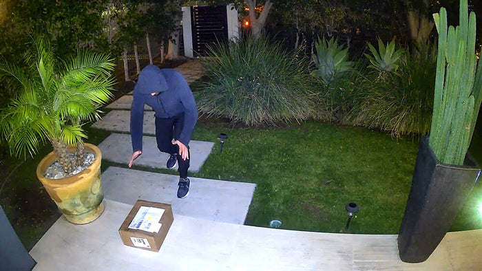 Color Night Vision video with thief grabbing packaging.