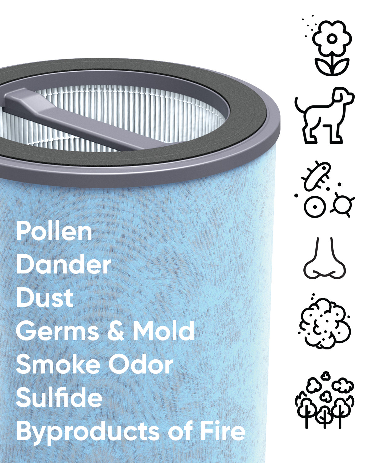 Wildfire filter pollutants