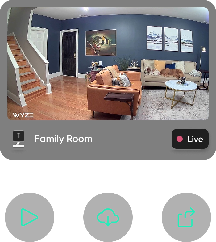 Watch, save, & share your recordings