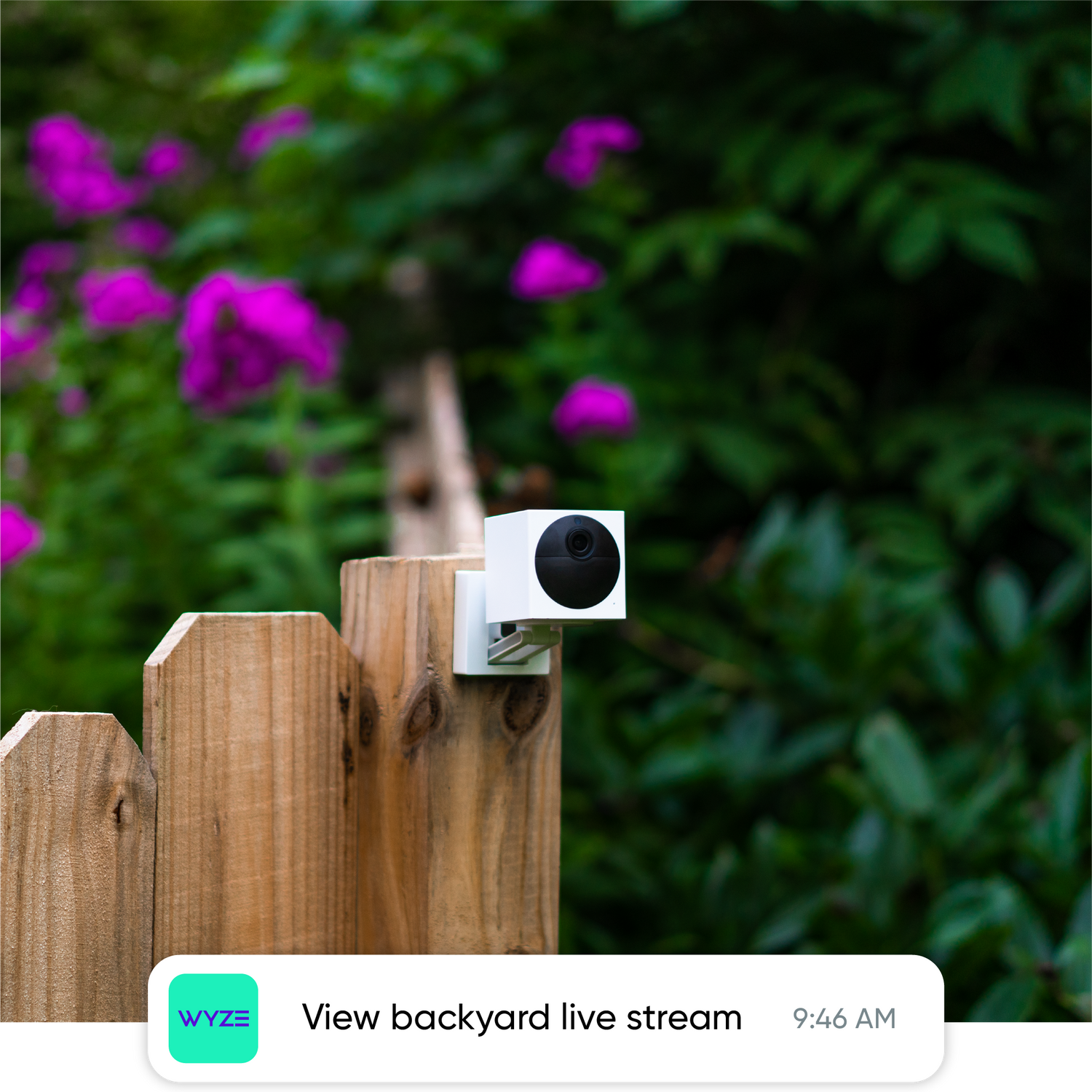 Wyze Outdoor Cam v2 mounted on fence