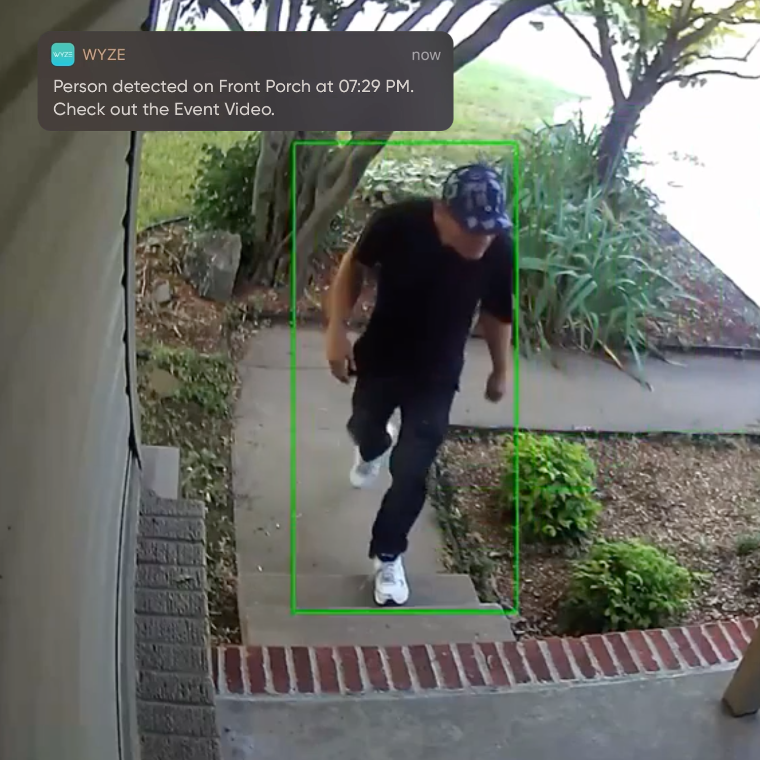 Wyze cam shop person detection