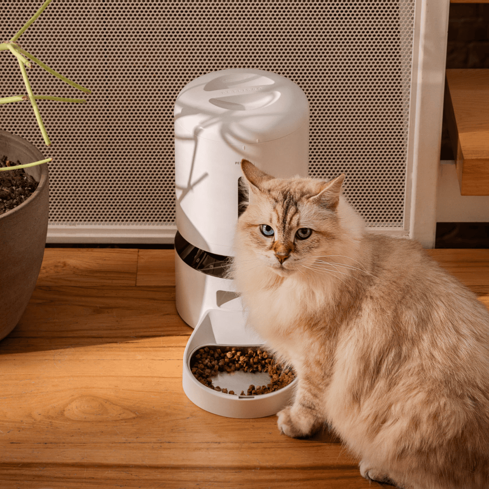 Petlibro Granary Smart Camera Feeder
