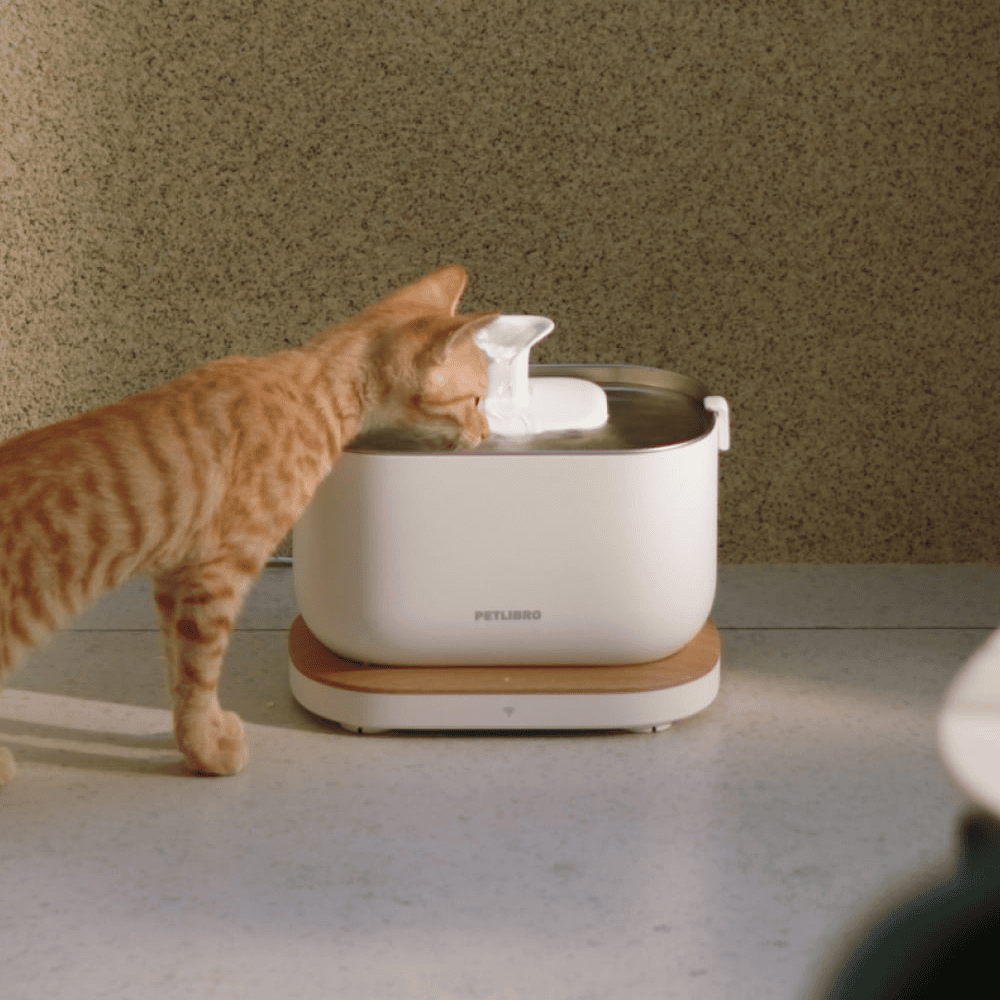 Petlibro Dockstream Smart Fountain