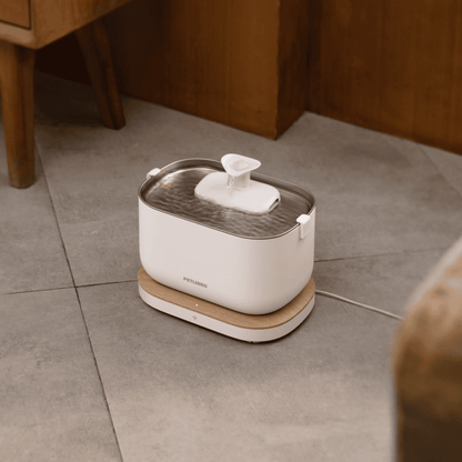 Petlibro Dockstream Smart Fountain