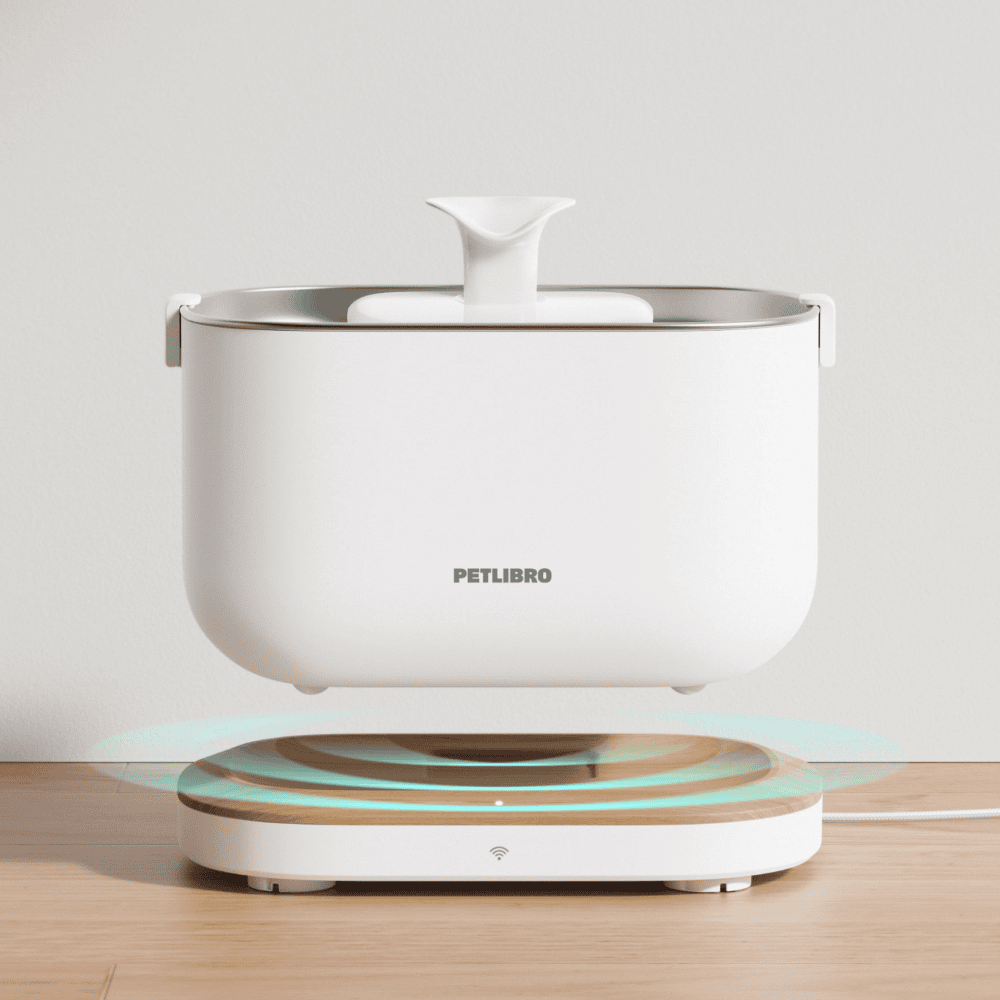 Petlibro Dockstream Smart Fountain