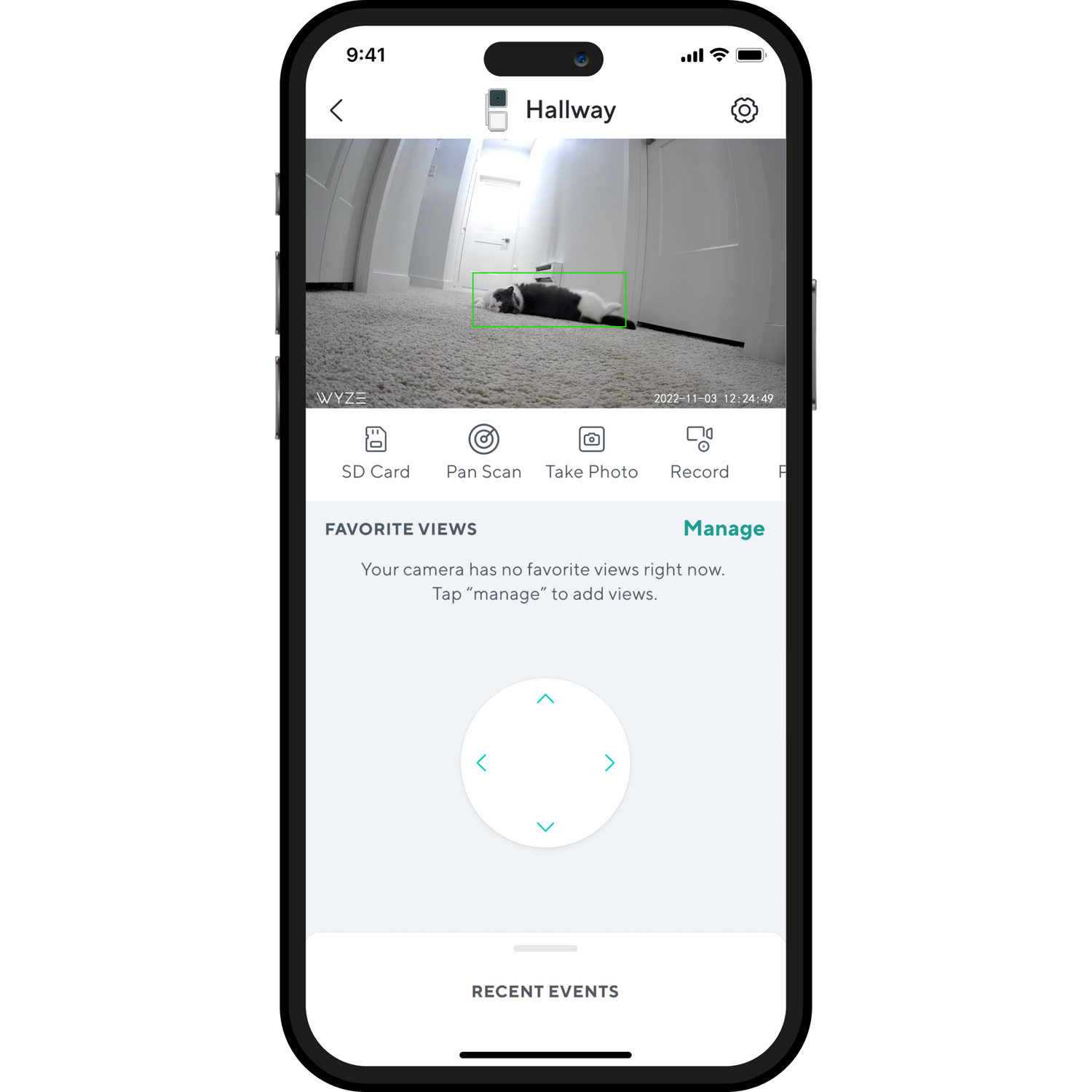 Smartphone camera with a Wyze app opened to live view showing a cat laying on the ground
