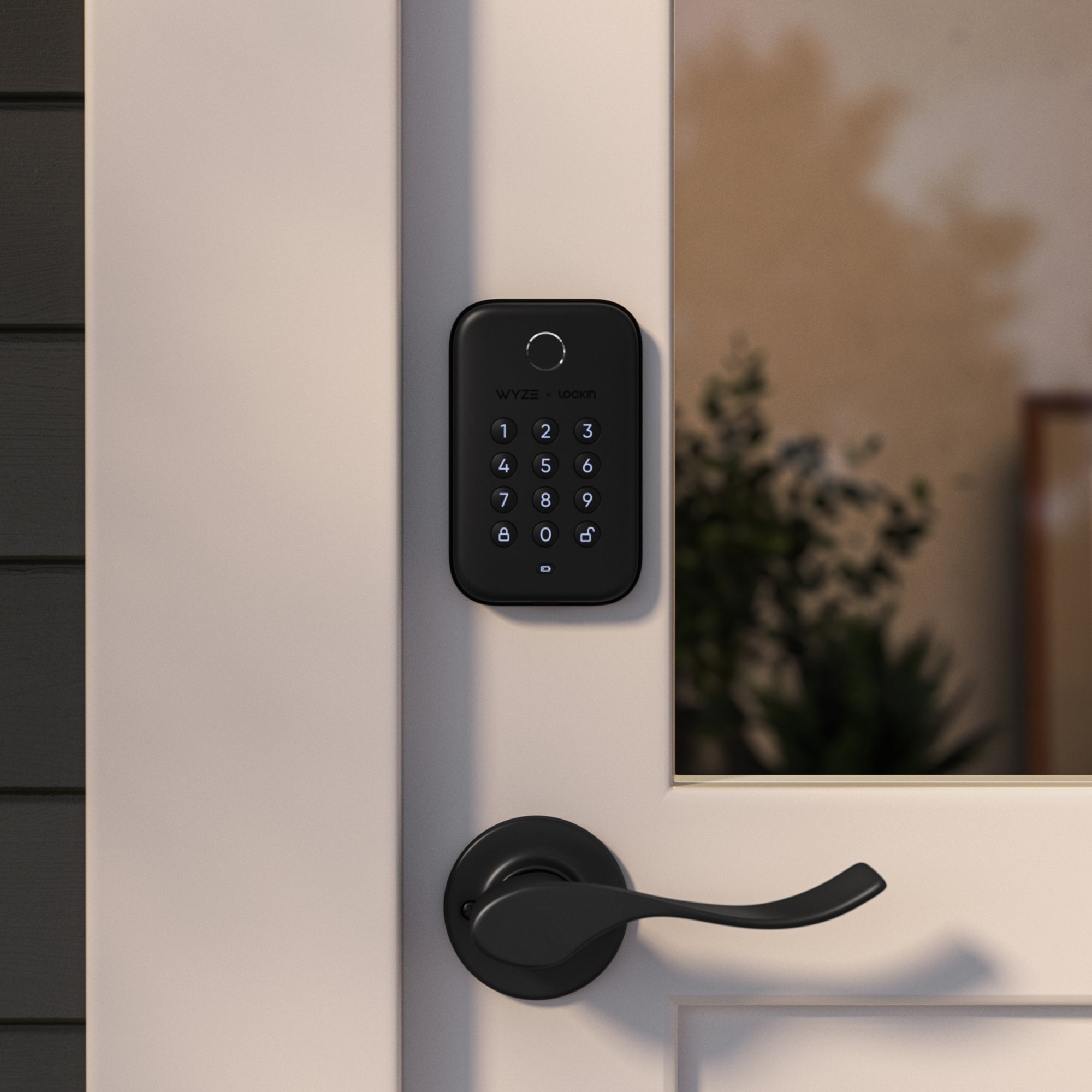 A black lock bolt installed on a white door.