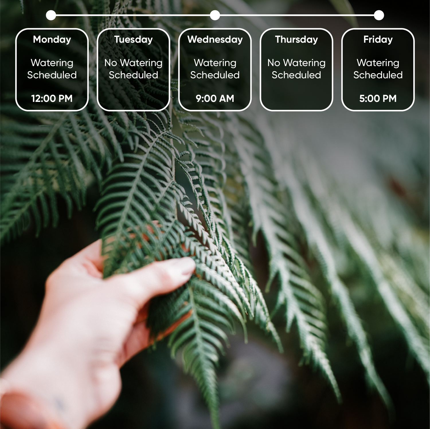 Person touching a plant leaf with watering schedule overlay 