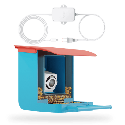 Bird Feeder Plug-in Cam v4 Bundle