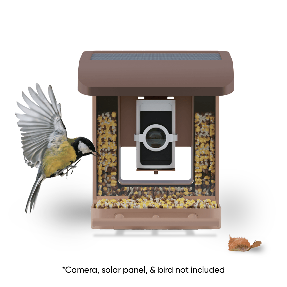 Wyze Bird Feeder