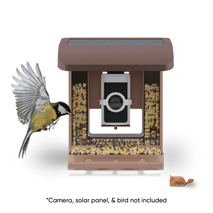 Wyze Bird Feeder