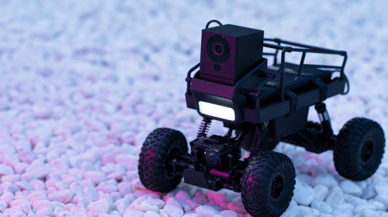 wyze car on rocks