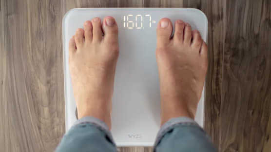 Wyze Scale: Review of the $20 smart bathroom scale - Gearbrain