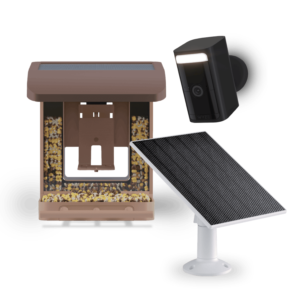 Bird Feeder Wireless Camera Bundle