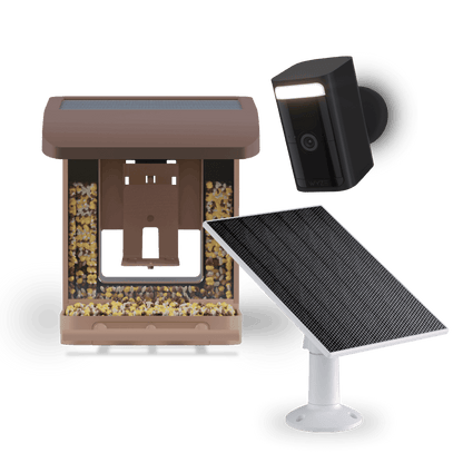 Bird Feeder Wireless Camera Bundle