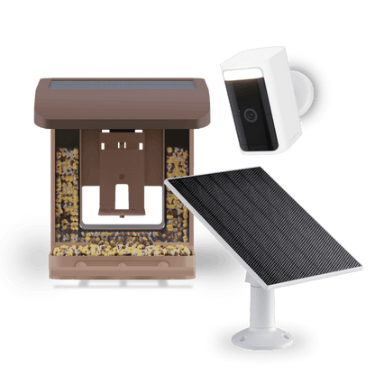Bird Feeder Wireless Camera Bundle