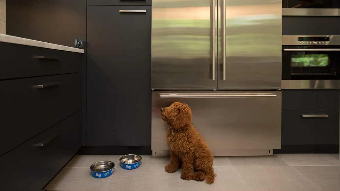 A dog is standing in front of a refrigerator.