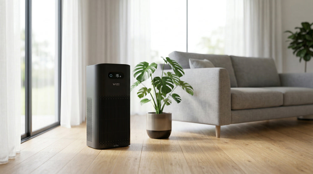 Air purifier in a modern living room with a plant and sofa.