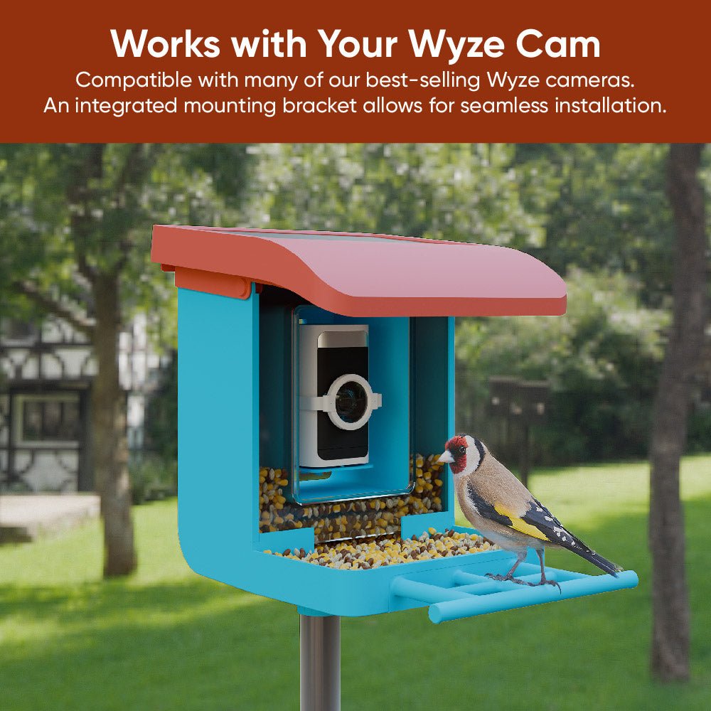Bird Feeder Wireless Camera Bundle - Main Image