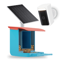 Wyze Bird Feeder Wireless Camera Bundle: Un fournisseur d'oiseaux avec une caméra attachée à celui-ci.
