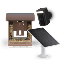 Un alimentateur pour oiseaux avec une caméra attachée à celui-ci.