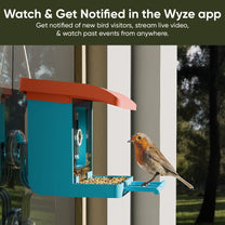 Wyze Bird Feeder Bundle with Live View Camera - White / Brown: A smart bird feeder camera that allows you to watch and get.