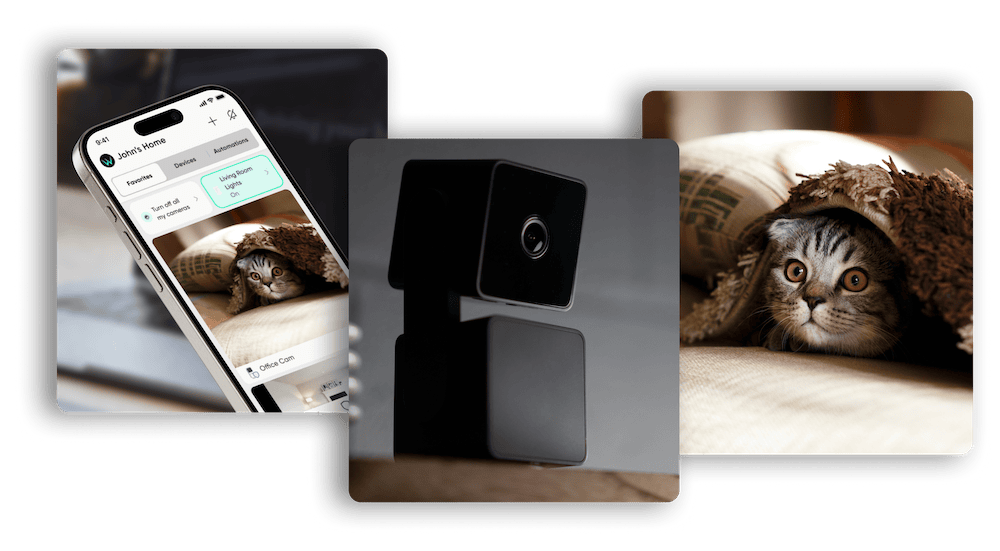 Pet Cameras