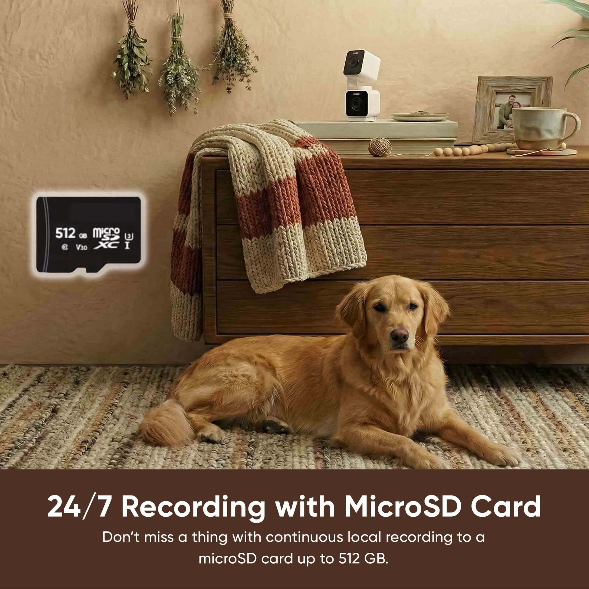 Pet Monitoring Plus SVB-DUO-WH-WLPP1-MSD128C10 - Wyze Labs, Inc.