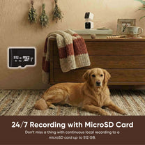 Enregistrement 24/7 avec carte microSD