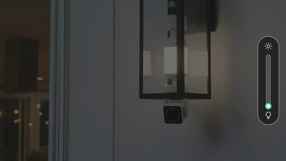 Load video: growth_bulbcampantest-brightness-modern.mp4