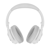 Wyze Noise-Cancelling Headphones