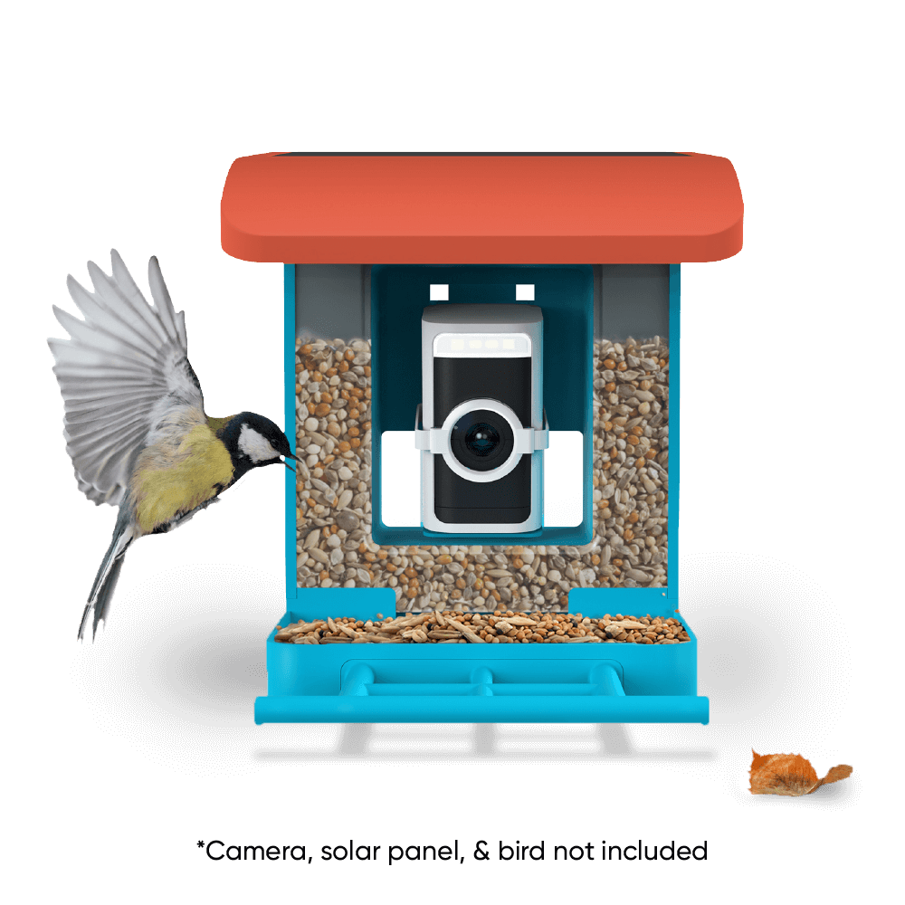 Wyze Bird Feeder WYZEBF - Wyze Labs, Inc.