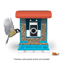 Wyze Bird Feeder - A smart bird feeder camera with live view.