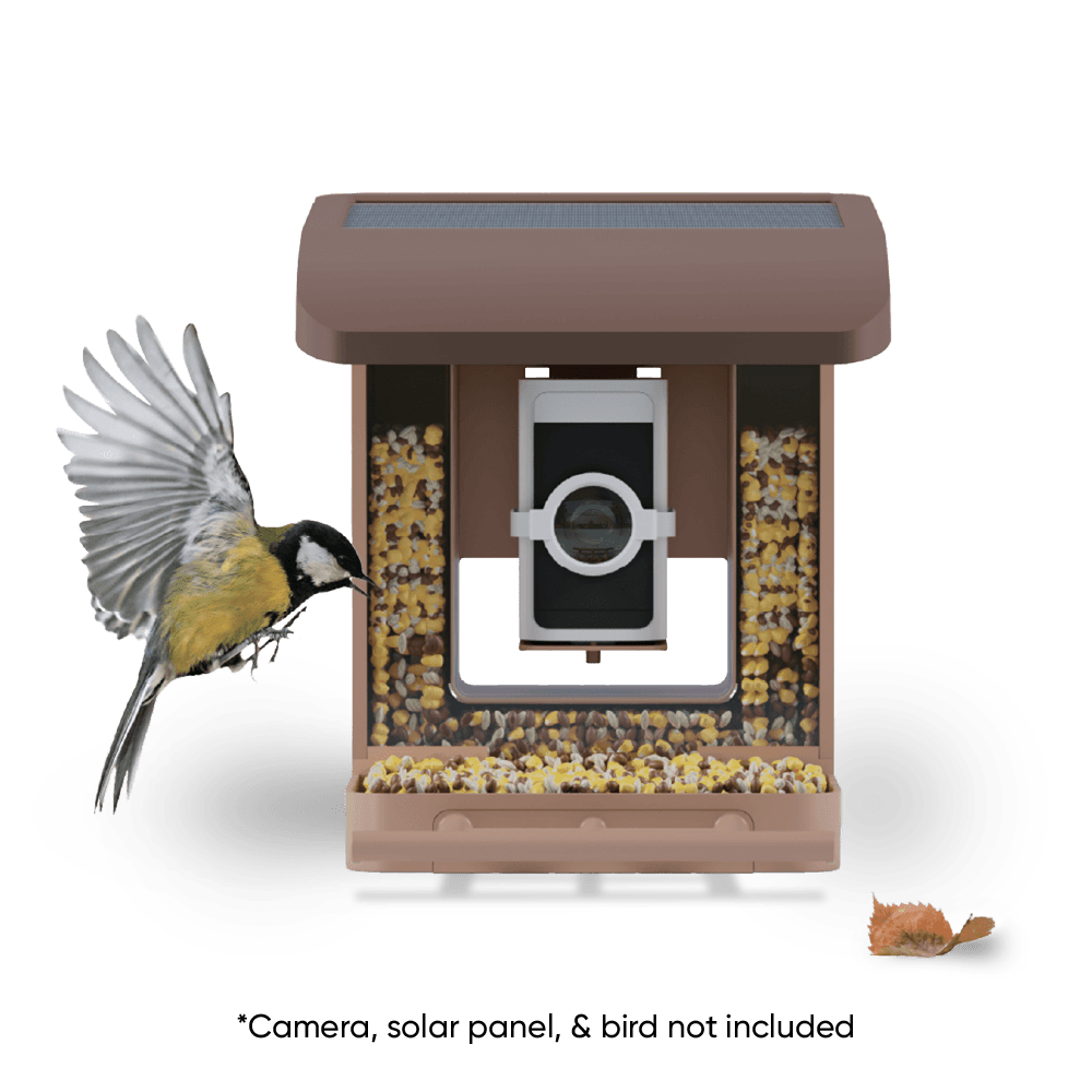 Wyze Bird Feeder WYZEBFBN - Wyze Labs, Inc.