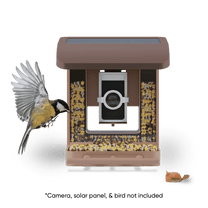 Wyze Bird Feeder with solar panel and camera.