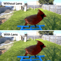 Close-up lens for Wyze Cam allows for capturing detailed images of wildlife and small pets.