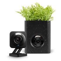 Wyze Cam Vase with Speckles Painting - A sleek and discreet home security solution.