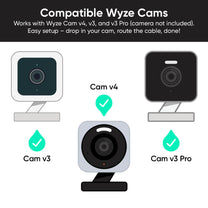 Wyze Cam Vase with Speckles Painting.