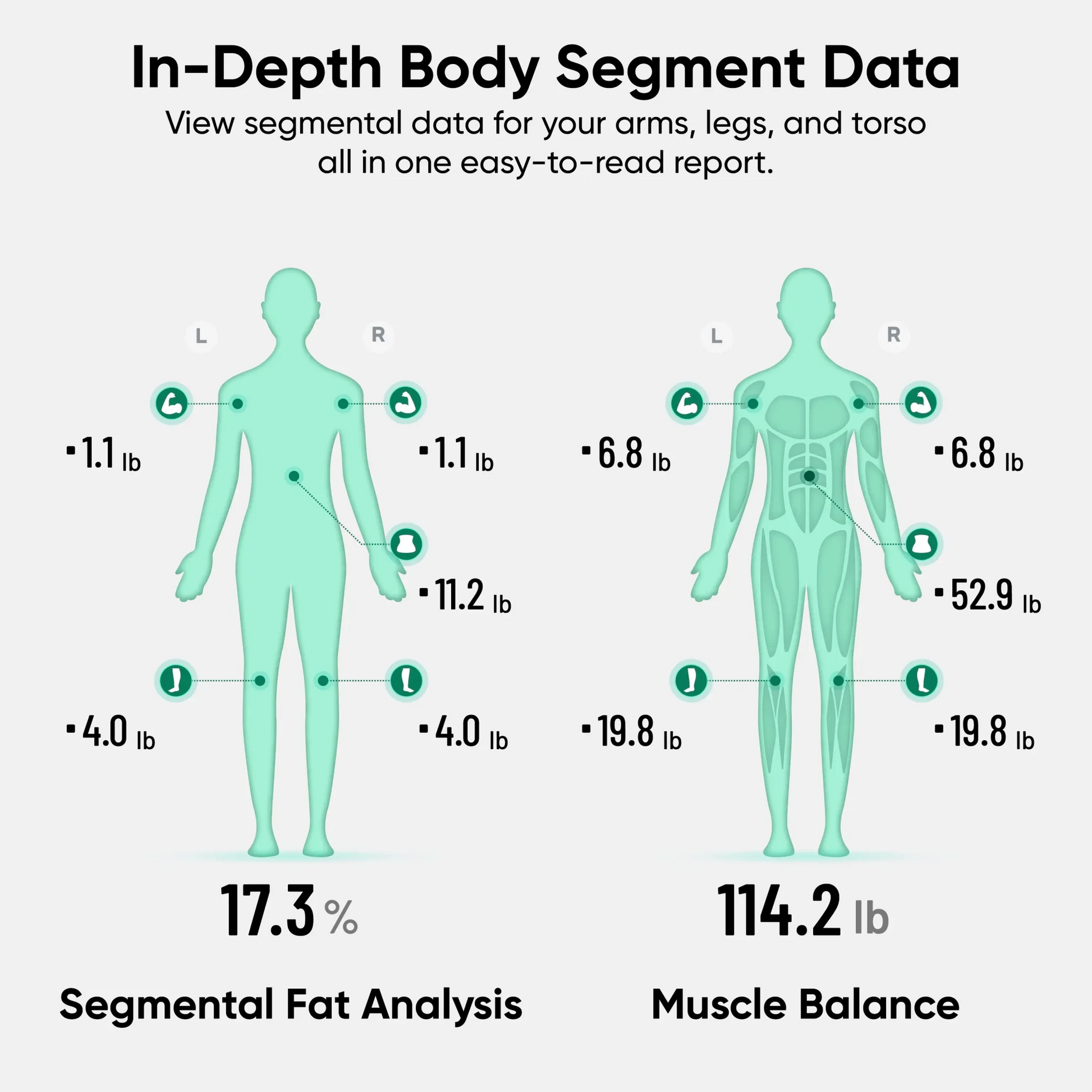 Wyze Scale BodyScan WSCLBN-WH - Wyze Labs, Inc.