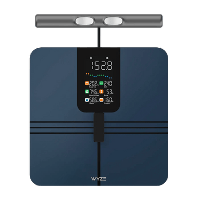 NEW PRODUCT! Scale BodyScan
